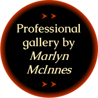 Click here for Marlyn's Professional Gallery