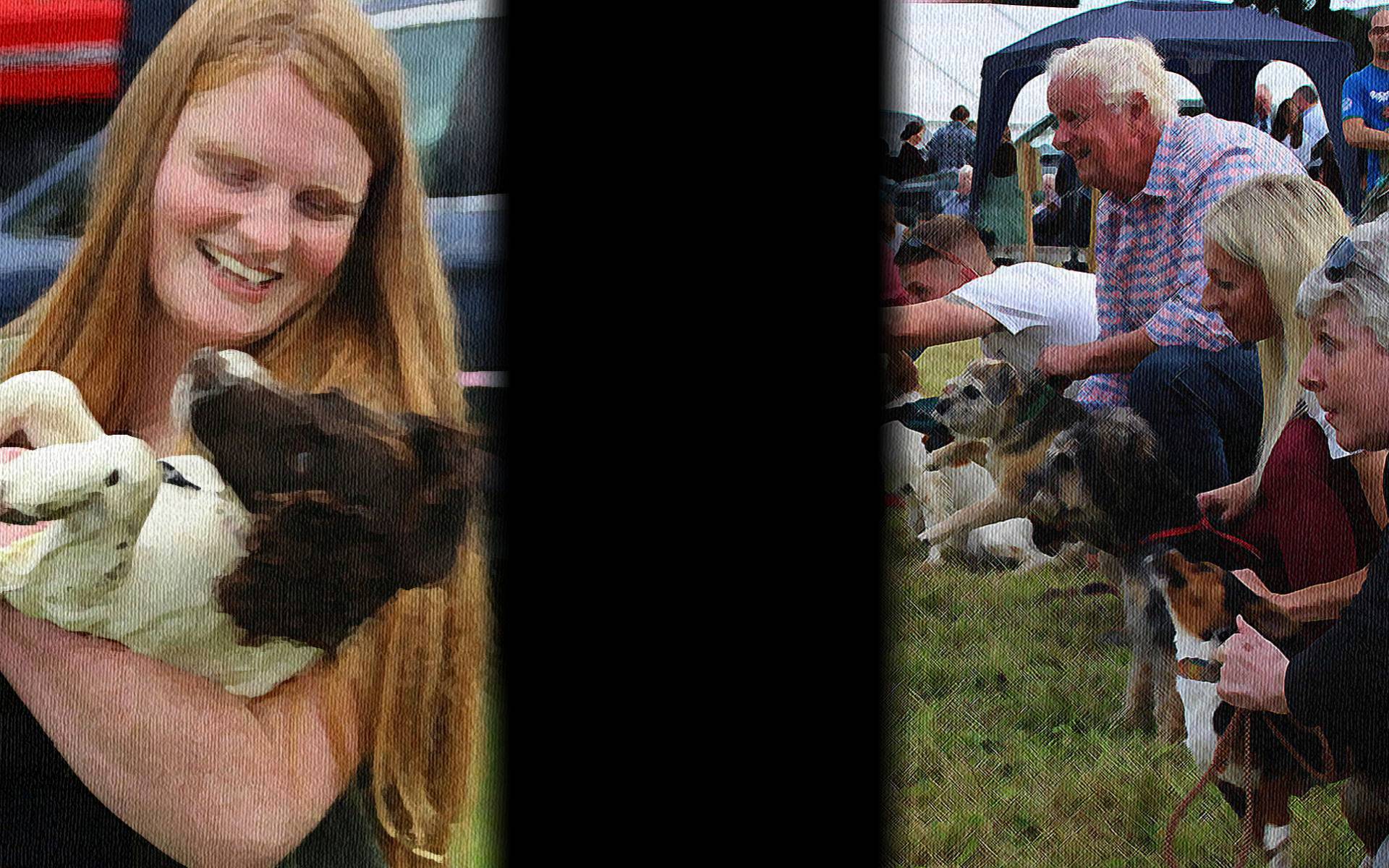 Dog Show and Races